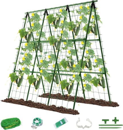 A-Frame Climbing Plant Support