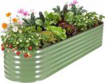 Two Oval Metal Raised Garden Beds