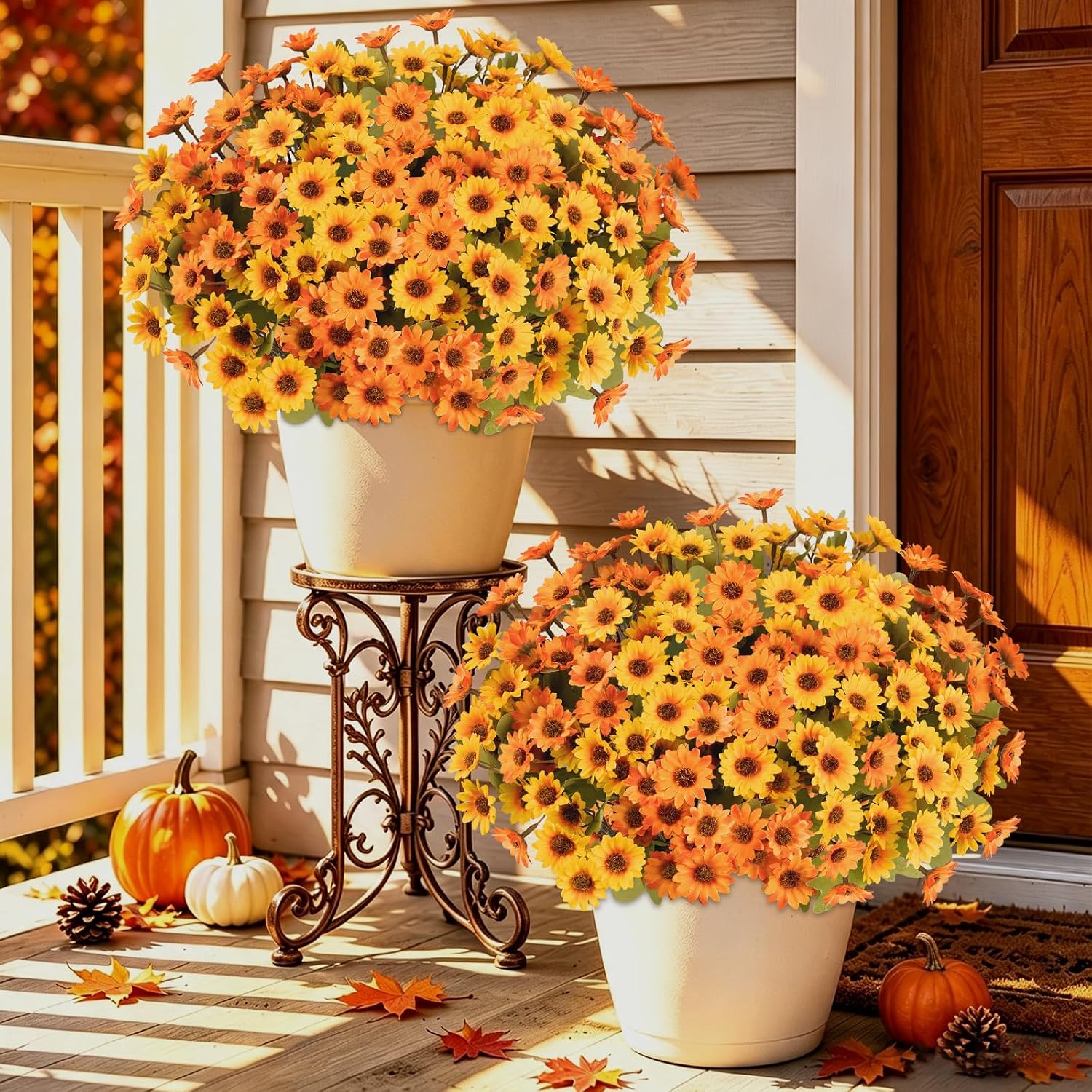 Twelve Bundle UV Resistant Mums